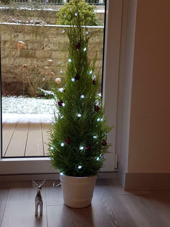 Apartament Z Ogrodem Polanica-Zdrój Kültér fotó